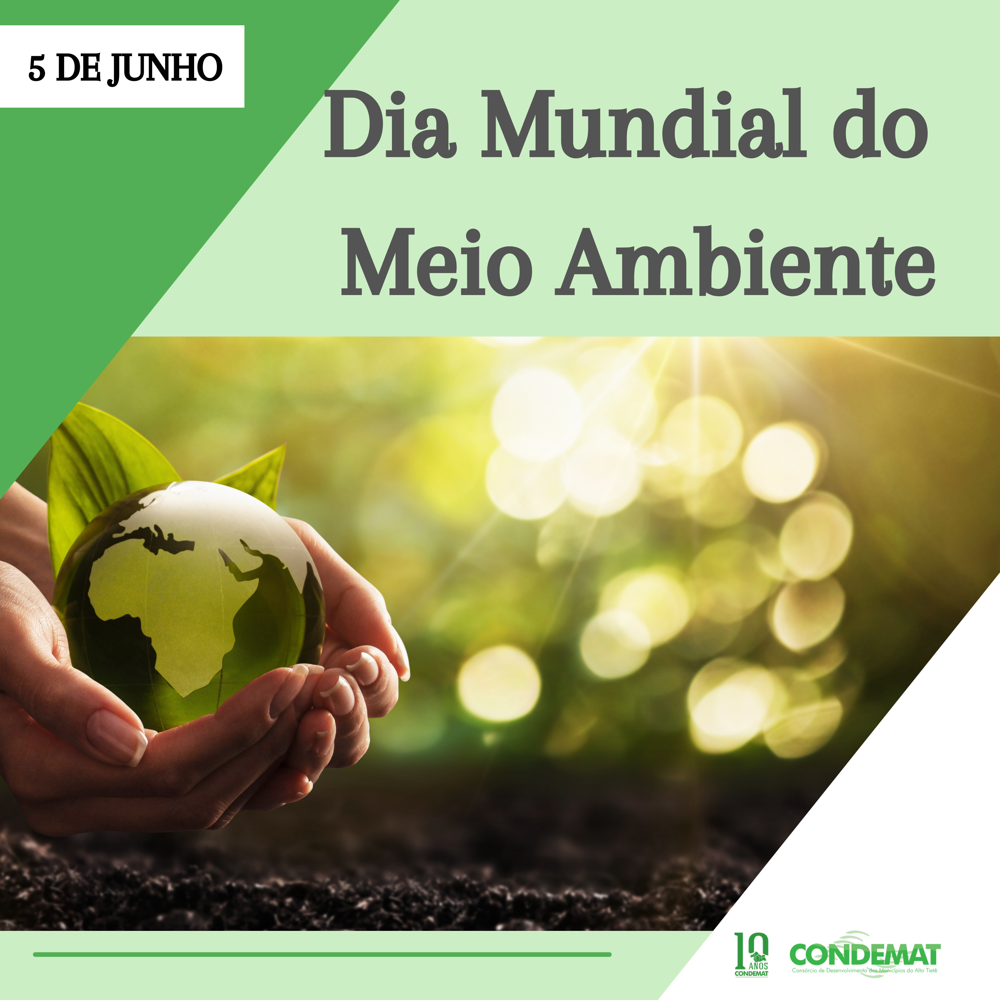 Leia mais sobre o artigo Câmara Técnica realiza ações em celebração ao mês do Meio Ambiente