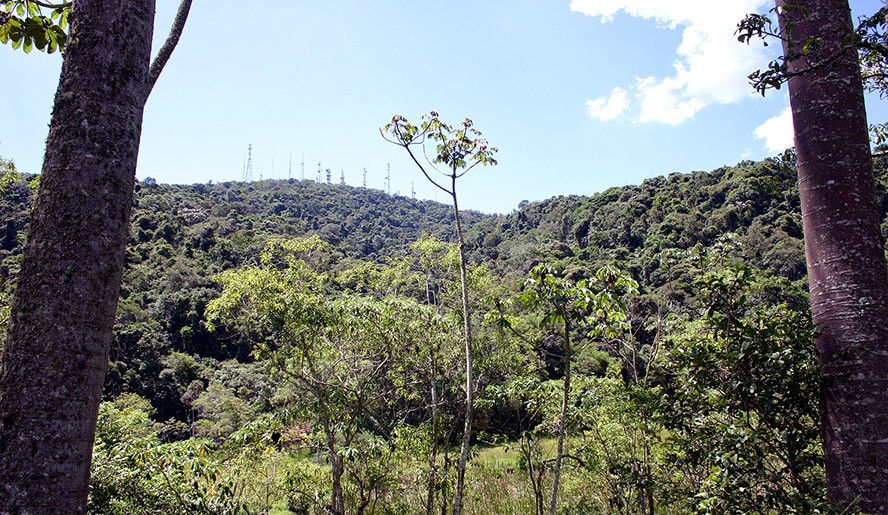 Leia mais sobre o artigo CONDEMAT+ realiza a 1ª Conferência Intermunicipal de Meio Ambiente