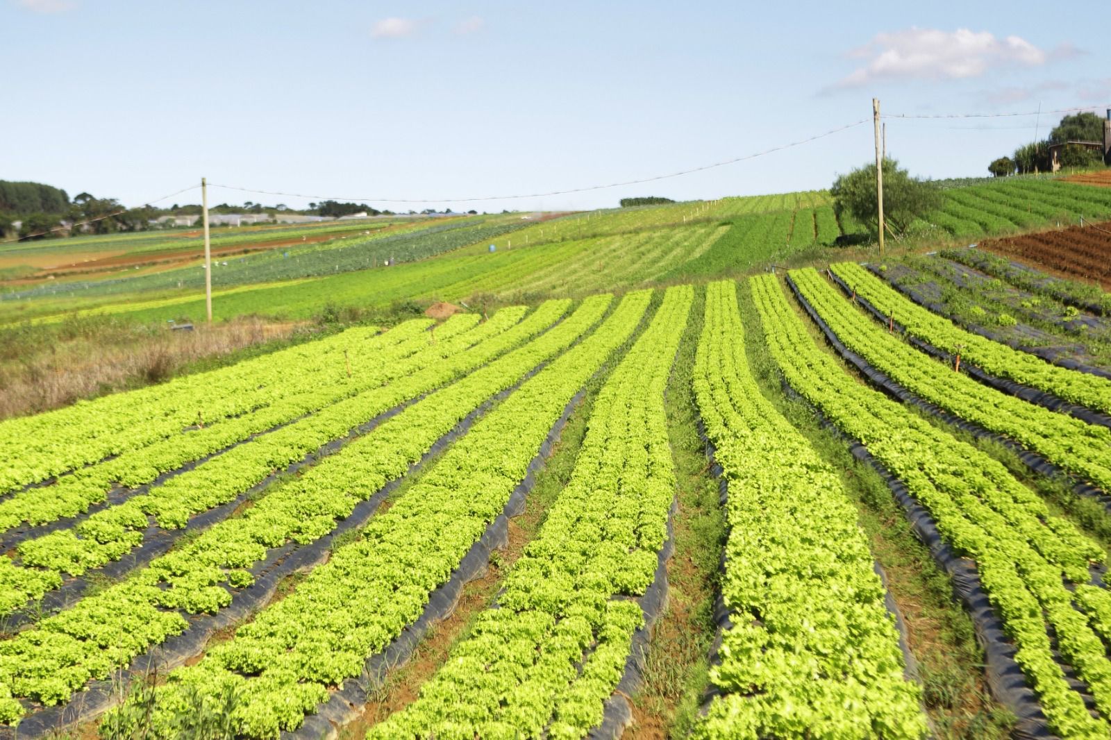 Leia mais sobre o artigo Encontro sobre água, agricultura e clima acontece na próxima terça-feira em Mogi