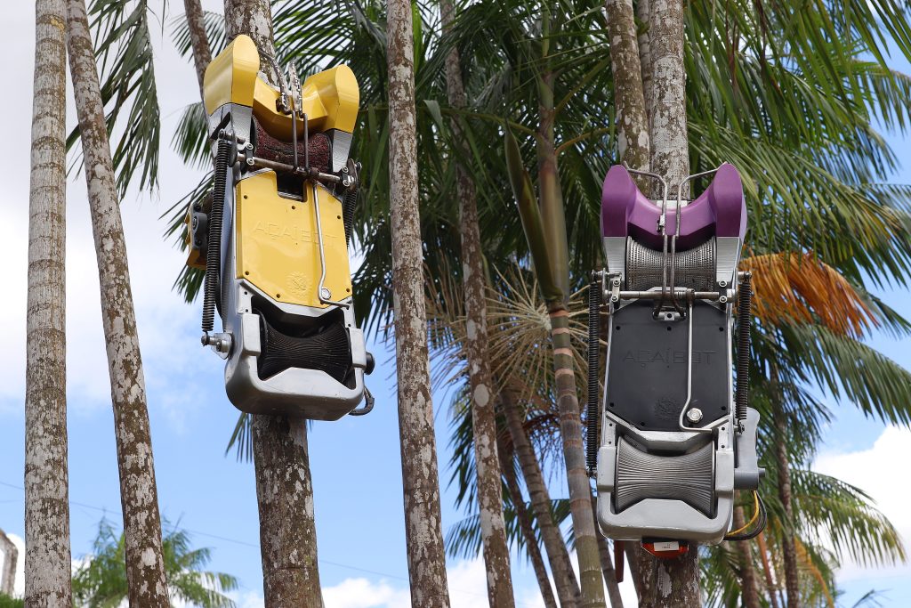 Leia mais sobre o artigo Evento “Dia de Campo Juçara” ocorre neste mês em Biritiba Mirim