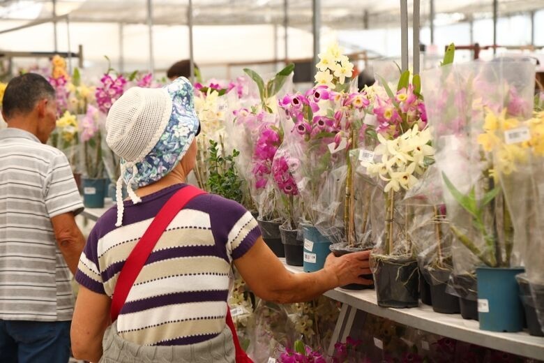 No momento, você está visualizando Alto Tietê recebe Parque Permanente de Flores e Plantas para fortalecer cadeia produtiva e turismo