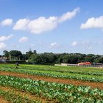 Salesópolis recebe capacitação em boas práticas agrícolas neste mês